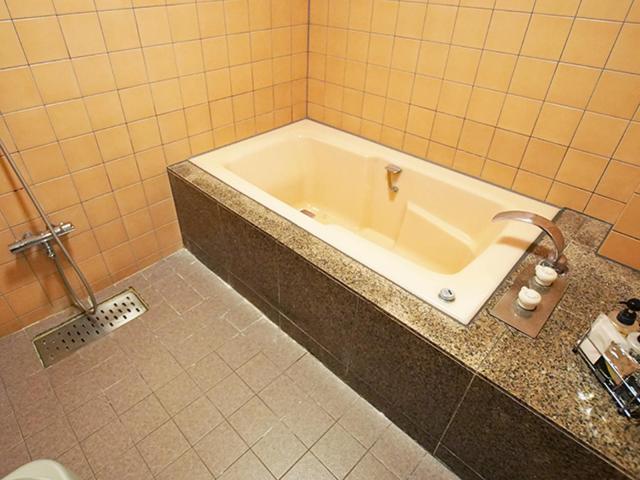 フラミンゴ　大人専用 Hotel 3*